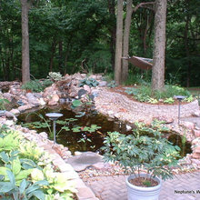 pond