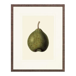 Pear Art Prints - Fine Art Prints