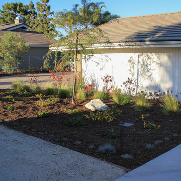 Water Saving