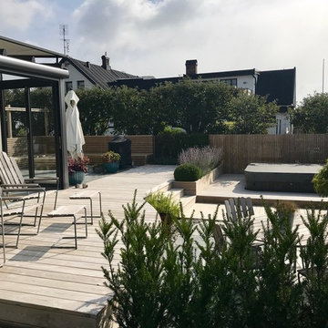 Helrenovering av befintlig trädgård; Domsten
