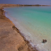 בת-חן מויאל's photo