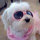 jill_ruggiero