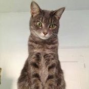 Katie Gates's photo