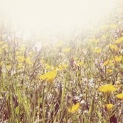 Vanessa Anderson's photo