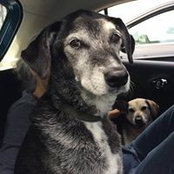 Gerald Ronna's photo