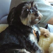 Kathy Breedlove's photo