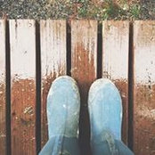 Kimberly Loomis's photo