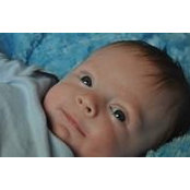 Noka O'Kelley's photo