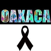 Alma Rodriguez Becerra's photo