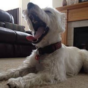 Sarah Twiselton's photo