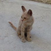 Jo Anderson's photo