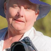 Pam Dickensons billede