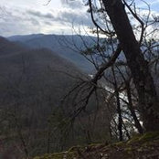 Robin McAllister's photo