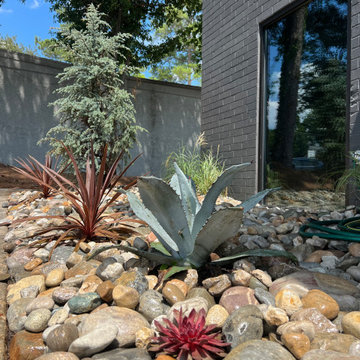Shamrock Prosthetics Landscape Redesign and Clean-up