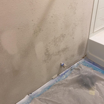 Apartment Mold Mitigation and Rebuild