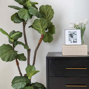 BW Minimal Transitional Design