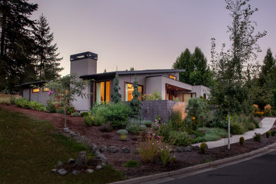 Mid-sized contemporary gray one-story concrete fiberboard and clapboard house exterior idea in Other with a shed roof, a metal roof and a gray roof