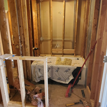 master bathroom in progress
