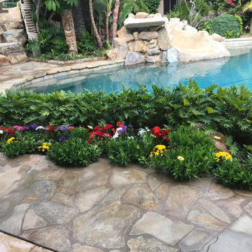 Olive's Gardening