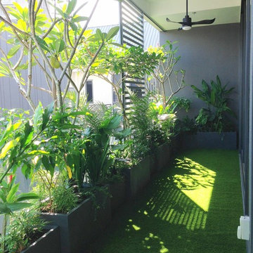 Balcony Garden