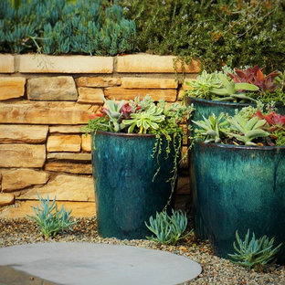 Stilmix Garten im Frühling, hinter dem Haus mit Kübelpflanzen, direkter Sonneneinstrahlung und Betonplatten in Orange County