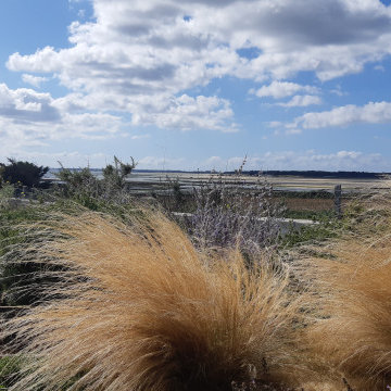 Jardin de bords de mer - Plouharnel