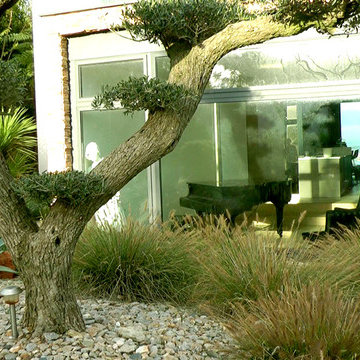 JARDIN SUR LE MONT ST CLAIR