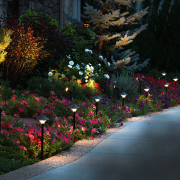 Landscape Lighting