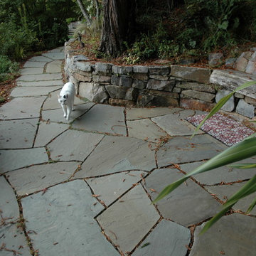 Kathy's Mill Valley Retreat.