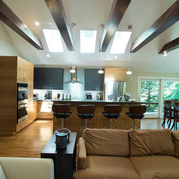 Yang Project - Kitchen & Bath Cabinets in Falls Church, VA