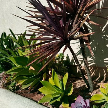 Design- Coastal, Huntington Beach, CA