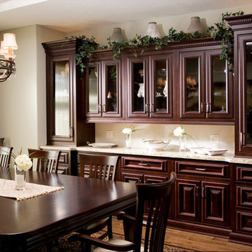 Dark Elegant Kitchen