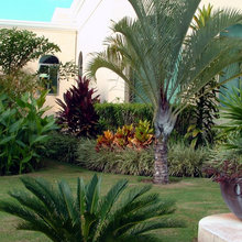 front of hopuse