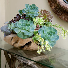 flower arranging