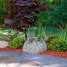 Landscape Ideas