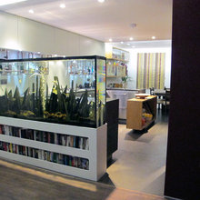 Aquarium Room Divider