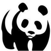 House Pandaさんの写真