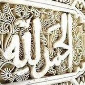 Marwa Shalaby's photo