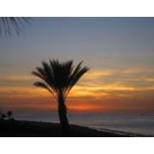 Michelle T.'s photo