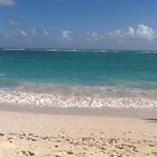 Janet Schwartz-Porter's photo