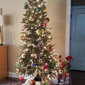 Angela Salemi's photo