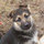 monica_murraycote