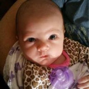 Cyndi Gleich's photo
