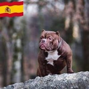 Foto von Jeremy Gimenez