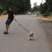 Sean Suamataia's photo