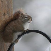 Michelle McPartlan's photo