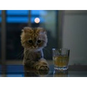 Jorge Martinez's photo