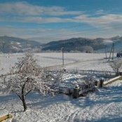 Foto von Breda Hraščanec