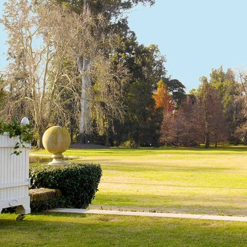 Versailles planter, Jardinier du Roi, French planters, orange tree planters Chat