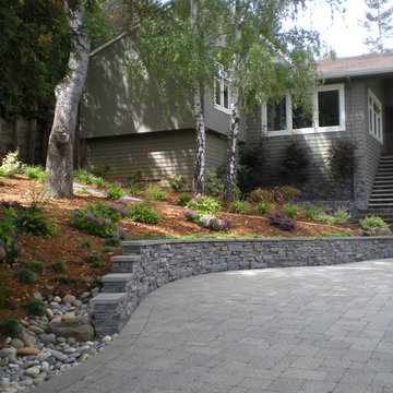 San Carlos Driveway & Front Landscaping